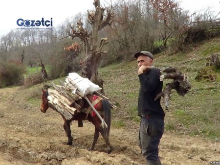 Qəzənfər Ağayev heç bu kəndə ayaq basıbmı?