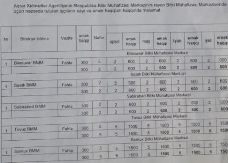 KTN-nin ÖLÜ CANLARI VƏ...