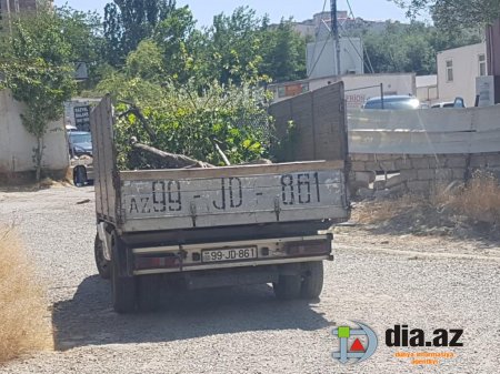 Bakının göbəyində YAŞILLIQLAR MƏHV OLUNUR