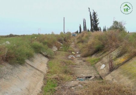 Torpağı baha qiymətə icarəyə götürüblər, amma ƏKƏ BİLMİRLƏR...