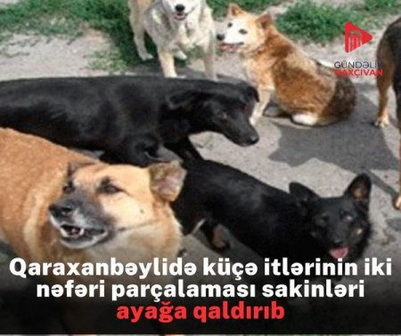 Naxçıvanda Qaraxanbəyli kəndinin QARA GÜNLƏRİ...