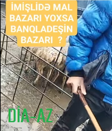 İmişlidə MAL BAZARI: BU NƏ HALDIR?..