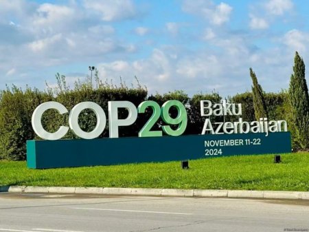 COP 29 çərçivəsində “City for People in Baku” tədbiri keçiriləcək